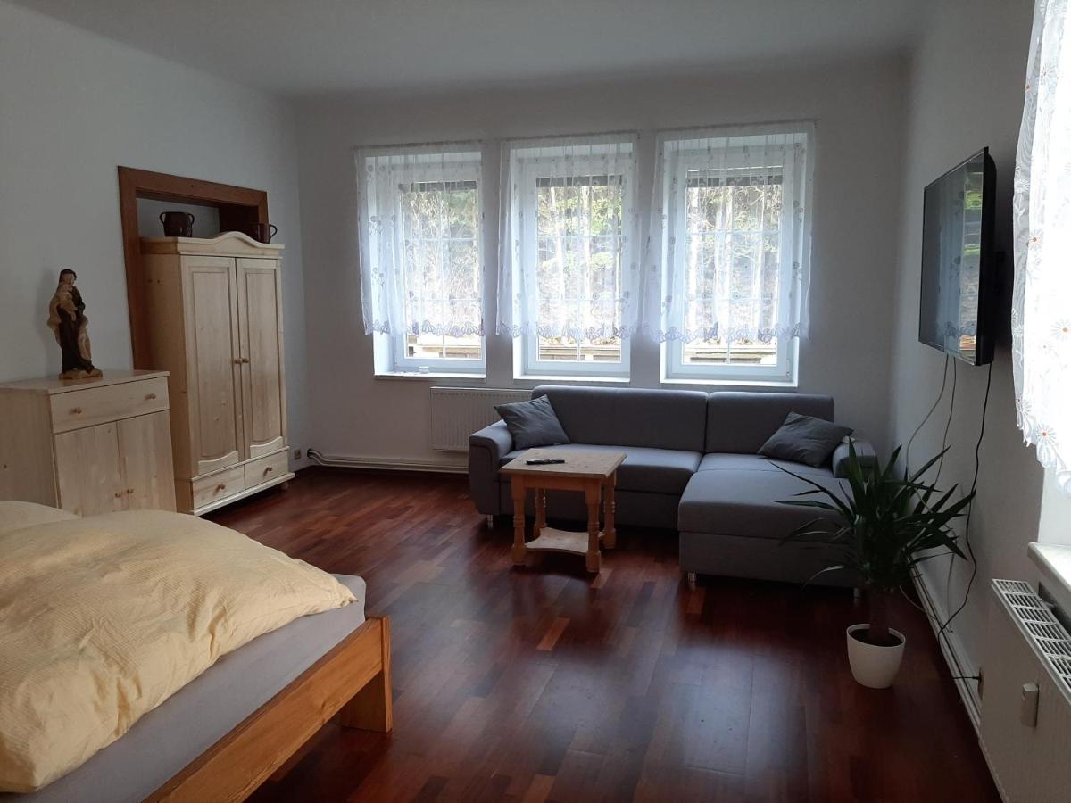 Apartman Vila Vitkovice Exterior photo
